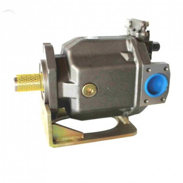 PAKER F12-080-MS-SN-T-000-000-0 Piston Pump #2 image